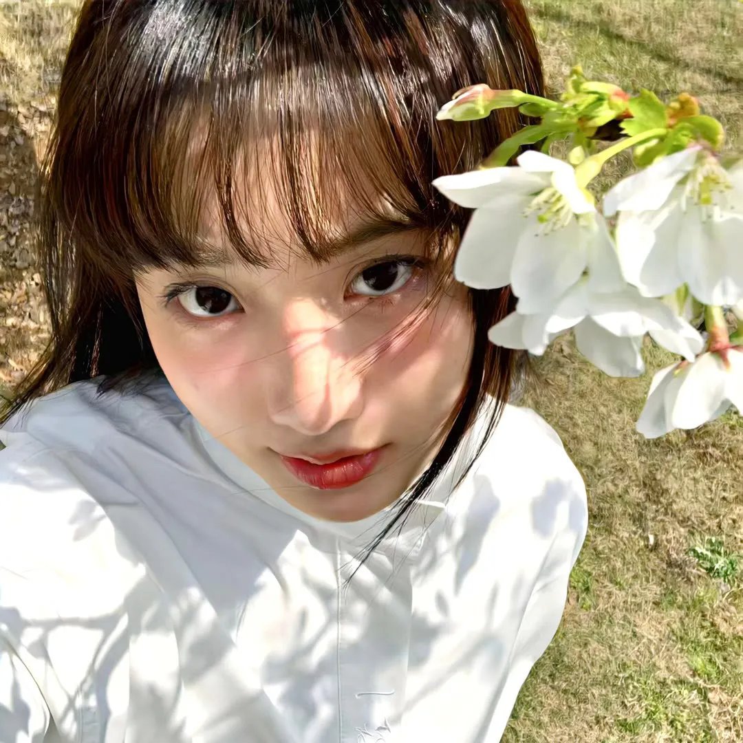 天山的红花