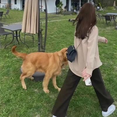 莱奥诺拉的告别